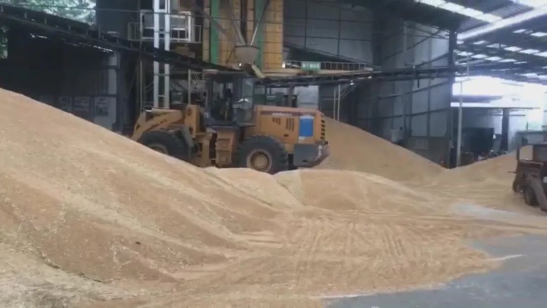 如何控制面粉加工成套设备润麦工序的加水量